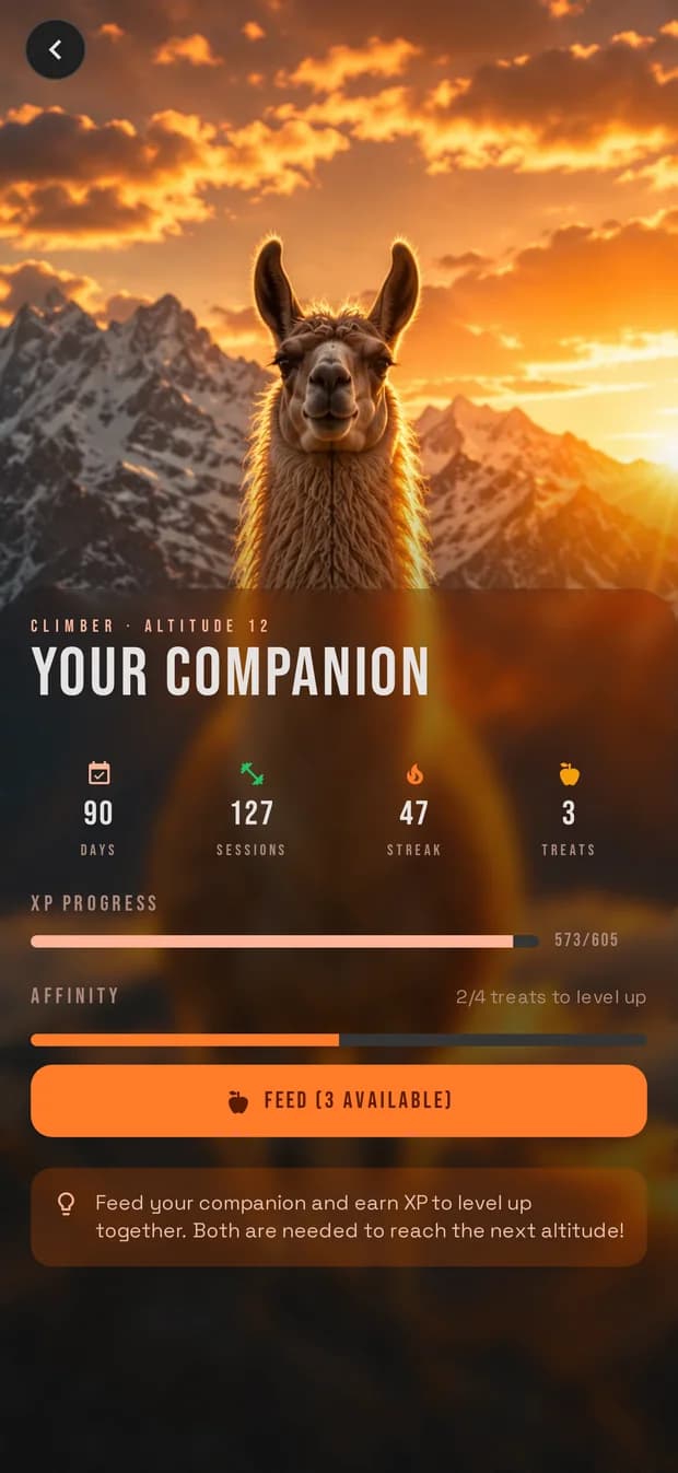 Puna app — bodyweight home workout screen with daily session, XP progress, and streak tracker